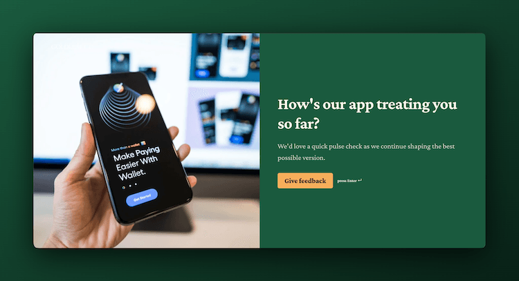 Beta Product Feedback Survey